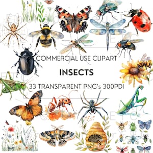 Insekt Aquarell Clipart, 33 PNG Clip Art Insekten, Biene Marienkäfer Spinne Raupe Schmetterling Käfer, Scrapbooking, Aufkleber, kommerzielle Nutzung