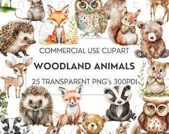 Woodland Animals Watercolor Clipart, 25 PNG Clip art Bundle, Fox, Hedgehog, Squirrel, Mouse, Owl, Bear, Rabbit, Deer, Badger, Commercial Use
