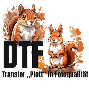 May include: Two cartoon squirrels with brown fur and white bellies stand on a background of fall leaves. The text "DTF Transfer "Plot" in Fotoqualität" is below the squirrels.