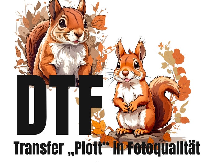 SQUIRREL - DTF - 2 motifs - please select a motif