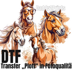 May include: Four digital illustrations of brown horses with different expressions. The horse on the left has a flowing mane and is looking to the right. The horse in the centre has a white star on its forehead and is looking to the left. The horse on the right has a white blaze on its face and is looking to the left. The horse in the top right corner is wearing glasses and is looking to the left. The text "DTF Transfer, Plott" in Fotoqualität" is at the bottom of the image.
