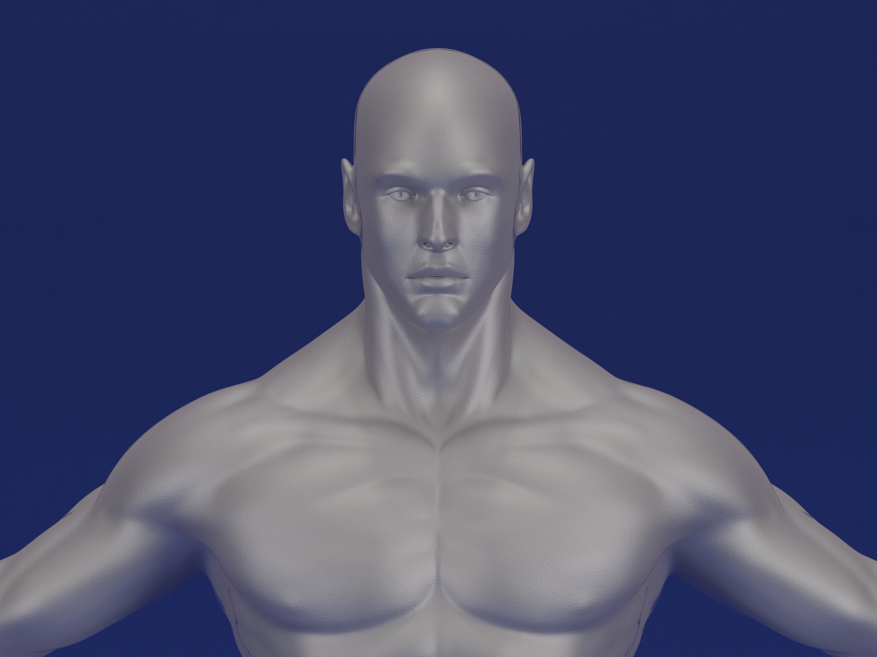 human-body-3d-model-stl-file-human-body-3d-print-file-human-etsy