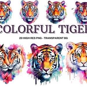 Colorful Tiger Clipart Set, 20 Watercolor Colorful Tiger Clipart, Scrapbook, Tiger Bundle