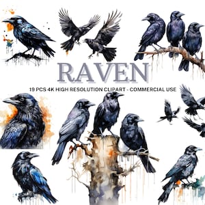 Raven Clipart Set, 19 Watercolor Raven, Collage Images, Bird Clipart Bundle