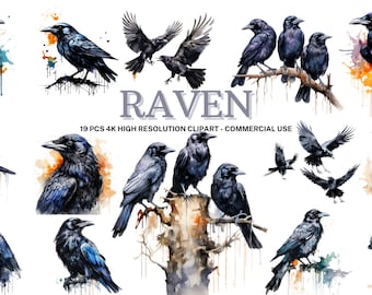 Watercolor Raven Clipart Set: 19 Bird Collage Images (Digital Download)