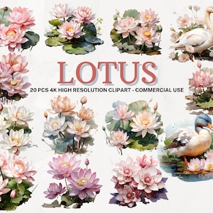Collezione PNG fiore di loto / Clipart fiore di loto acquerello / Download istantaneo / 20 PNG di alta qualità