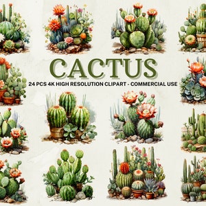 Collection PNG SVG Cactus | Clipart cactus aquarelle | Téléchargement instantané | 24 PNG de haute qualité