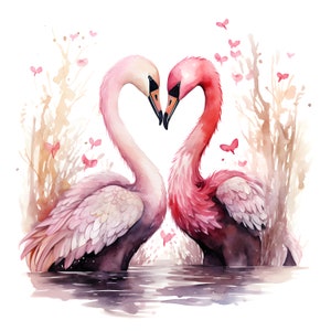 30 Colección de cisnes de San Valentín PNG de alta calidad, parejas de cisnes de acuarela, diario basura