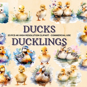 Ducks SVG PNG Collection | Ducklings Clipart | Duck Bundle | Duck Sticker | Instant Download | 23 High Quality PNG