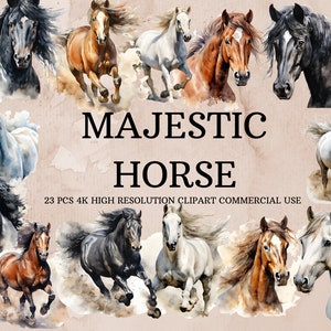 Majestic Horse Clipart Set, Acuarela Caballo Clipart, Uso comercial, Descarga digital, Acuarela Clipart,