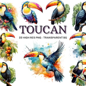 Toucan Clipart Set, 22 Watercolor Toucan PNG, Toucan Sublimation, Exotic Toucan Images