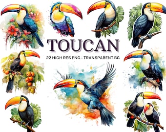 Watercolor Toucan Clipart Set: 22 Exotic Bird PNG Images