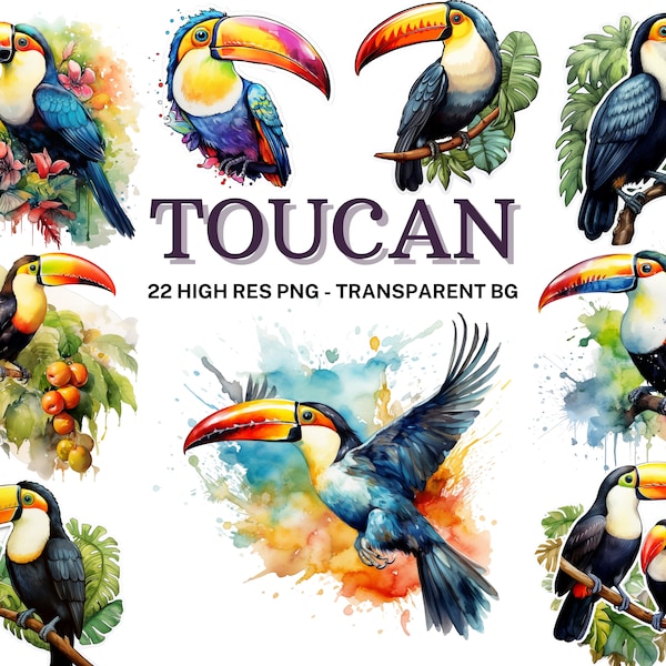 Toucan Clipart Set, 22 Watercolor Toucan PNG, Toucan Sublimation, Exotic Toucan Images