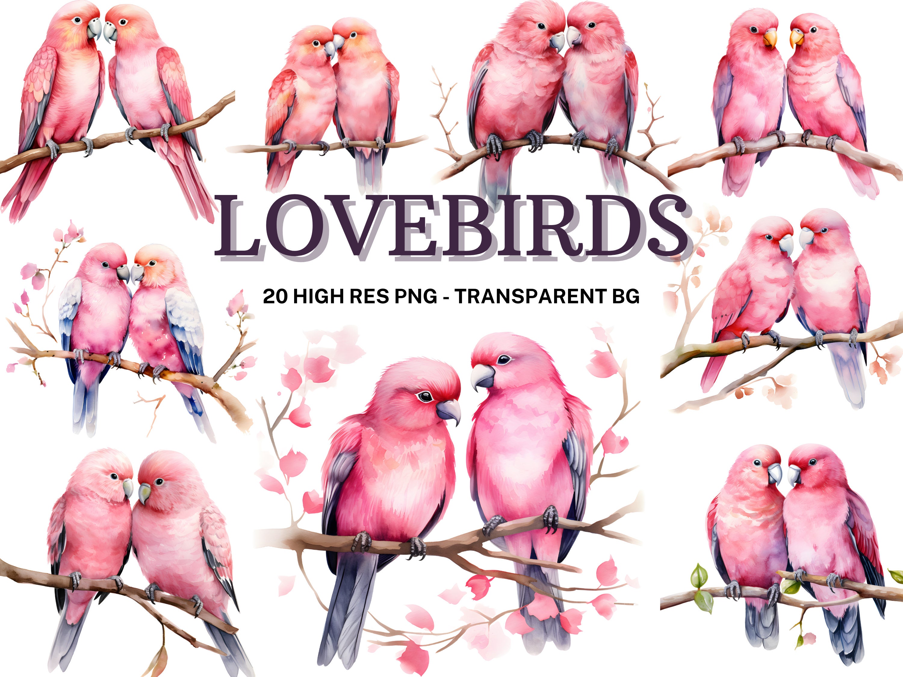 Lovebirds Clipart, 20 Watercolor Lovebird PNG, Nursery Art Etsy