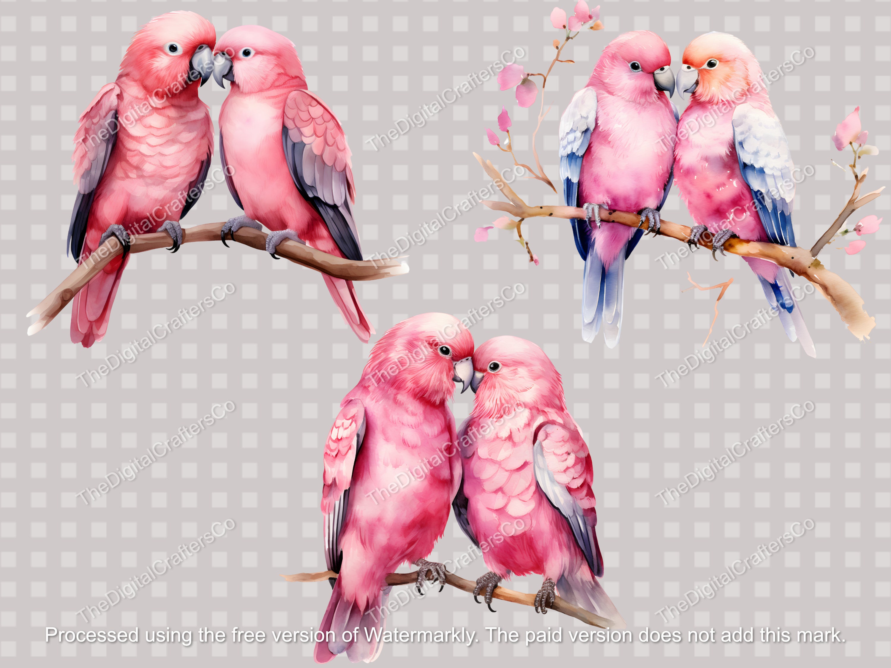 Lovebirds Clipart, 20 Watercolor Lovebird PNG, Nursery Art Etsy