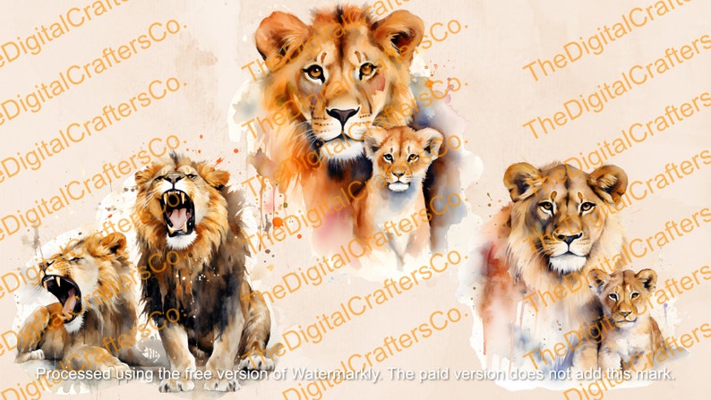 Watercolor Lion Clipart PNG Bundle – Wild Safari Jungle Animal Digital ...