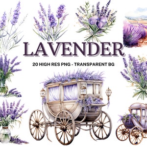 Watercolor Lavender Clipart Set, 20 Watercolor Lavender Bundle, Watercolor Provence Floral Clipart