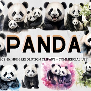 Collection PNG SVG panda | Clipart Aquarelle Panda | Sticker panda | Téléchargement instantané | 18 PNG de haute qualité