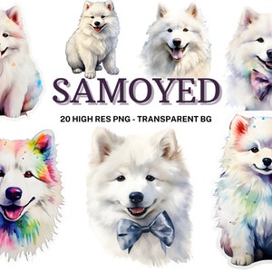 Samojede Hund Clipart-Set, 20 Samojede PNG, Hundeliebhaber Geschenk Digital Clipart