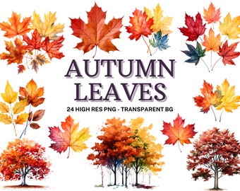 Watercolor Autumn Leaves Clipart: Fall PNG Bundle (Digital Download)