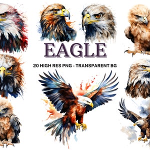 19 Eagle Clipart Set , Watercolor Eagle Clipart Bundle, Nursery Art, Bald Eagle