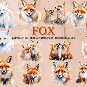 Ensemble de clipart renard, 24 fichier PNG aquarelle renard, album, Images d'animaux, animaux aquarelles