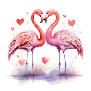 22 Acuarela de San Valentín Flamingo PNG de alta calidad, Imágenes Prediseñadas de acuarela del Día de San Valentín, Pareja de flamencos PNG, Fondo blanco