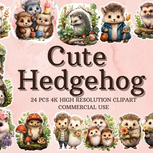 Collection PNG SVG hérisson | Clipart hérisson aquarelle | Sticker hérisson | Téléchargement instantané | 24 PNG de haute qualité