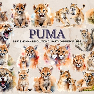 Puma SVG PNG Collection | Watercolor Puma Clipart | Instant Download | 24 High Resolution PNG