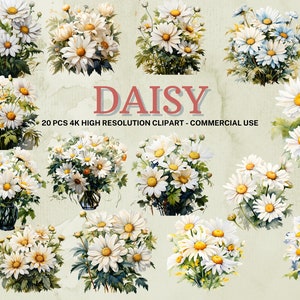 Colección Daisy PNG / Acuarela Daisy Clipart / Descarga instantánea / 20 PNG de alta calidad