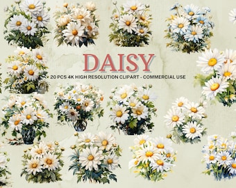 Watercolor Daisy Clipart | 20 PNG Floral Images (Instant Download)
