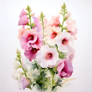 20 Hollyhock Clipart,  High Quality JPGs, Digital Paper Craft, Hollyhock flowers digital watercolor