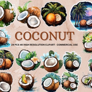 Colección de imágenes prediseñadas de coco, Imágenes prediseñadas de coco de acuarela, PNG de coco, Pegatina de coco, Descarga instantánea, 24 PNG de alta calidad