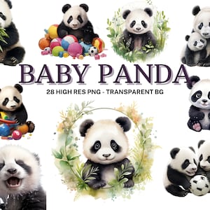 Conjunto de clipart de bebê panda, 24 aquarela bebê panda PNG, panda fofo, lixo eletrônico