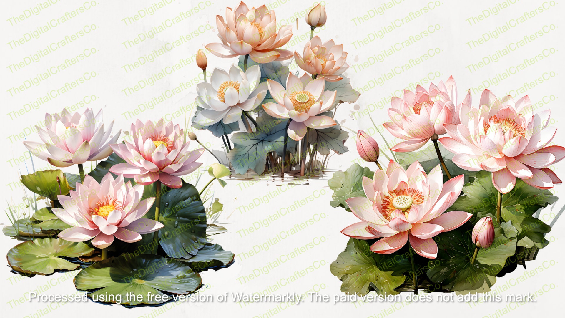 Lotus Flower PNG Collection Watercolor Lotus Flower Clipart Instant