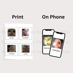 May include: A printable set of four cat meme images with different captions. The captions are "I am okay", "I am grateful", "I am hungry", and "I am sad". The images are also shown on two phone screens with the captions "I have an anxiety" and "I need space".