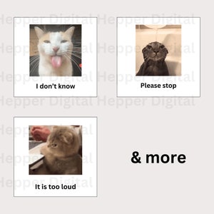 May include: Three images of cats with text below each image. The first image shows a cat with its tongue sticking out and the text "I don't know". The second image shows a cat with wet fur and the text "Please stop". The third image shows a cat looking at a laptop with the text "It is too loud". The text "& more" is below the images.