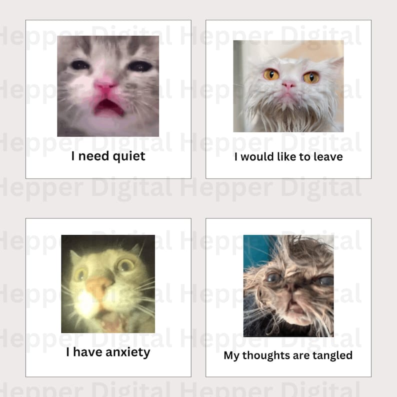 May include: A collage of four images featuring cats with different expressions. The first image shows a cat with a worried expression and the text "I need quiet". The second image shows a cat with a tired expression and the text "I would like to leave". The third image shows a cat with a scared expression and the text "I have anxiety". The fourth image shows a cat with a confused expression and the text "My thoughts are tangled".
