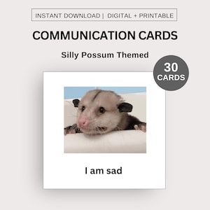 Dom Possum autisme communicatiekaarten, AAC, digitale non-verbale hulp, autistisch en neurodivergerend, afdrukbare grappige Opossum Meme