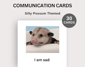 Silly Possum Autism Communication Cards, AAC, Digital Nonverbal Aid, Autistic and Neurodivergent, Printable Funny Opossum Meme