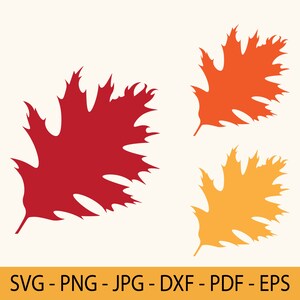 Eichenblatt im Wechsel, Eichenblatt Herbst, Eichenblatt Herbst, Eichenblatt Herbst, Herbst Eichenblatt, Eichenblatt Herbst Laubblatt, Eichenblatt Clipart, Herbst Laubblatt, D32
