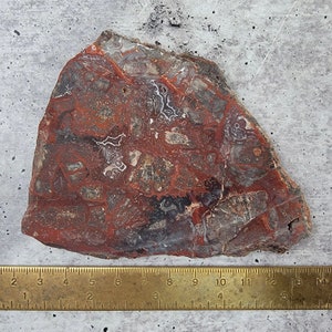 Mexican Red Lace Agate Slab image 4