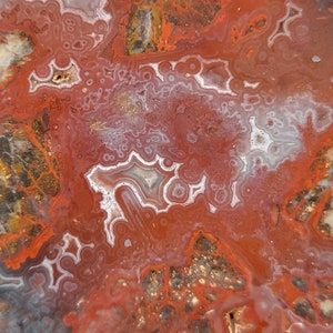 Mexican Red Lace Agate Slab image 5