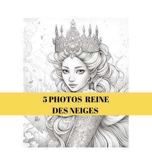 Ensemble de 5 Photos de la Reine des Neiges Artistiques et Uniques - Idéal pour la Décoration Murale et les Cadeaux