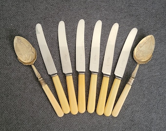 Vintage set of 6 knives+2 serving spoons