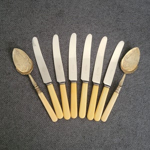 Vintage set of 6 knives+2 serving spoons