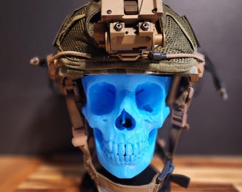 Human Skull Stand: Headphone & Helmet Display