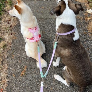 Leash Splitter for Double Dog Walking - Customizable Waterproof Biothane Coupler Accessory