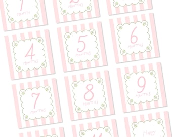 Pink Floral Baby Milestone Cards, Newborn Photo Prop, Square Baby Month Cards, Ready To Ship