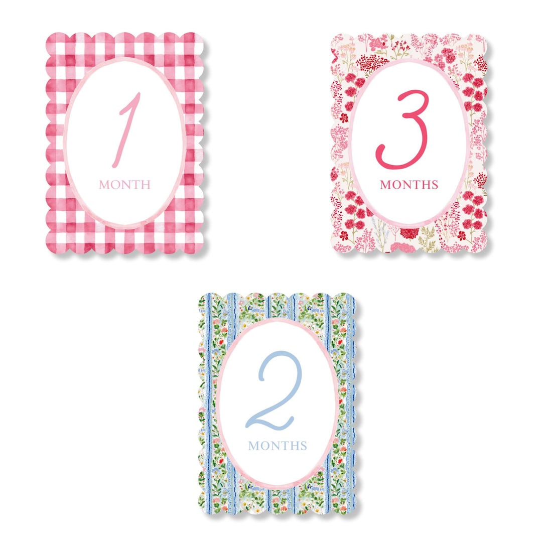 Baby Girl Pink Floral Milestone Cards, Monthly Milestone Set, Baby ...